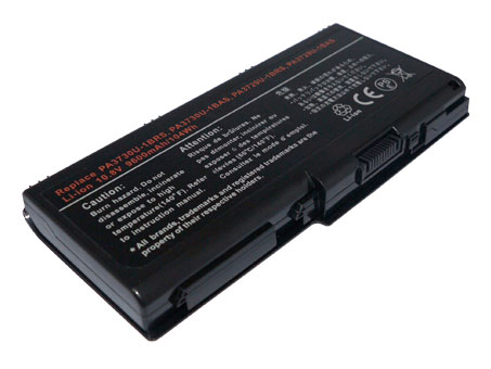 8800mAh Batteria TOSHIBA Qosmio X500-067